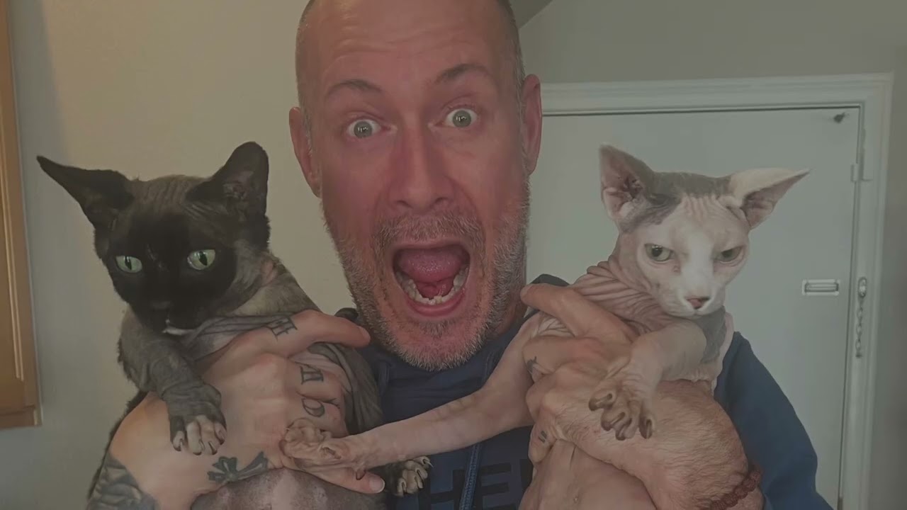 Sam Rivers in Limp Bizkit's official Sam Rivers Forever tribute video